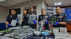 马国警方新山起获价值逾100万元毒品 逮捕三人